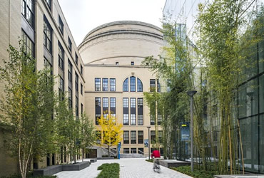 On a pathway in a courtyard between three academic buildings with trees and bamboo along the sides and a bicycle rider ahead