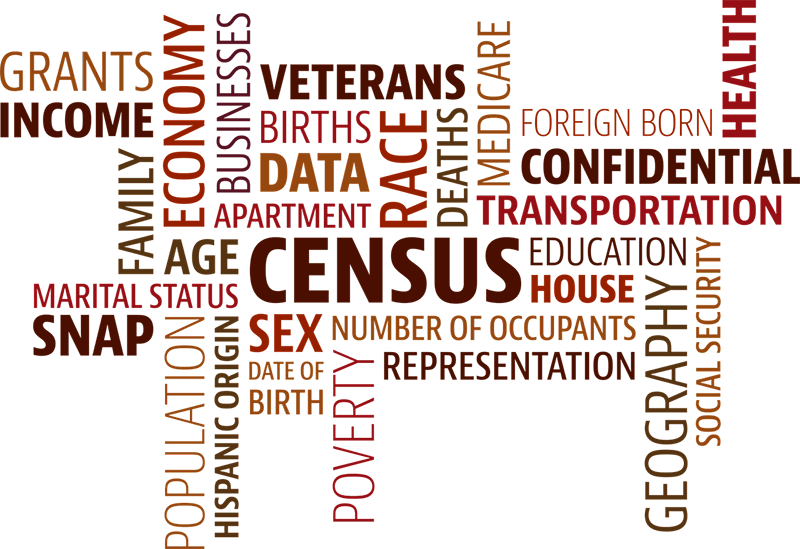 Word cloud with words related to the census