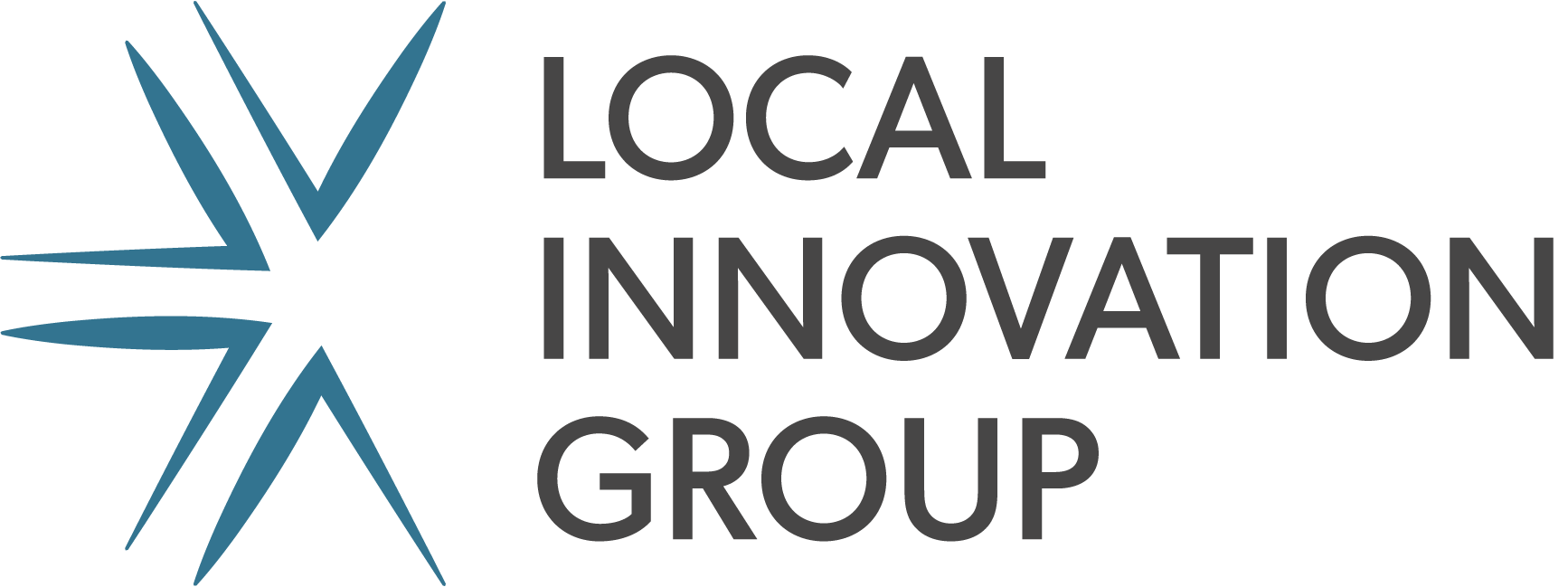 Local Innovation Group Logo - the name of the group in all cap dark grey letters with a blue star-like graphic to the left of them