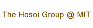 Peko Hosoi Group Logo - the words "The Hosoi Group @ MIT" in medium brown on a white background