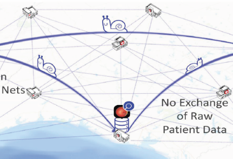 Graphical representation of a split learning model with three database icons forming a triangle and lines connecting them each to the one to each side of themselves. There is one small graphical snail travelling across each line between the databases.