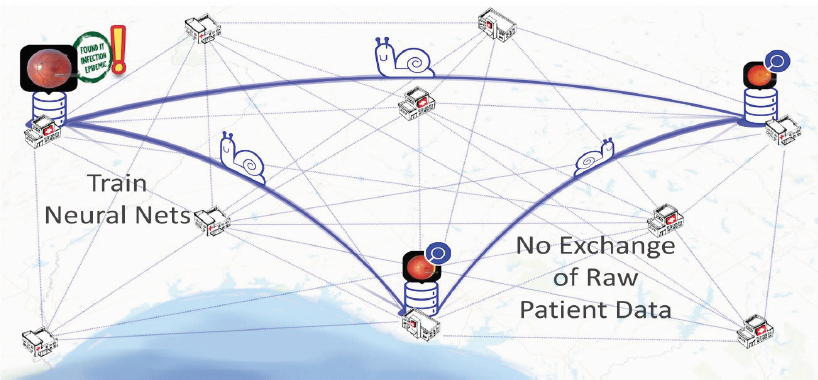 Graphical representation of a split learning model with three database icons forming a triangle and lines connecting them each to the one to each side of themselves. There is one small graphical snail travelling across each line between the databases.